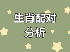 属羊和属鸡的合不合婚,属羊和属鸡的合不合婚姻