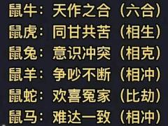 夫妻都是属鼠婚姻怎样,两个96年属鼠的人结婚好不好