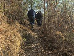 2025年阳历11月扫墓吉日 11月哪天最适合上坟祭祖