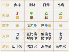 命宫是癸亥是下等命吗,命宫葵亥好吗