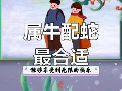 属蛇的和属牛的婚姻怎么样配吗,属蛇的和属牛的婚姻相配吗