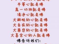 佛说无儿无女的人是什么命,女人一辈子不生育的好处