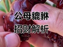 貔貅男人带公还是母的好,貔貅男带公的还是母的