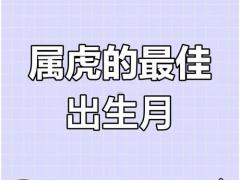 属虎出生年月对照表,属虎的人的出生年月