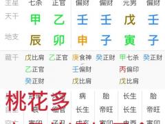 八字桃花有几种,八字桃花有几种颜色