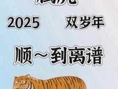 属虎202312月运势,属虎人202012月运势