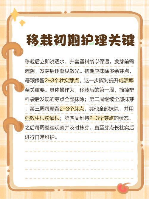 2025年11月宜移栽树的吉日