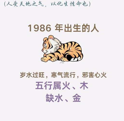 属虎1986年出生什么命,属虎1986年出生什么命运