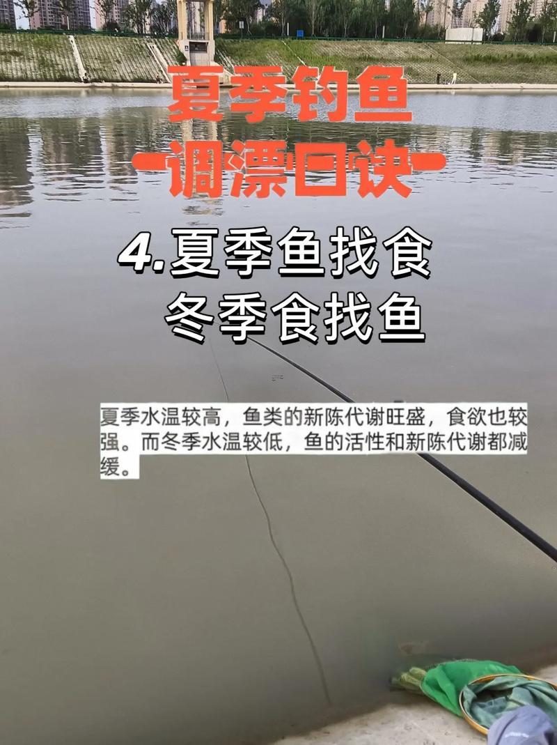 2025年11月垂钓吉日查询