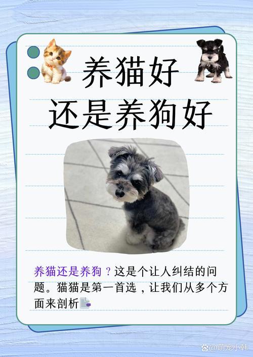 属龙可以养猫或养狗吗,属龙可以养猫或养狗吗女