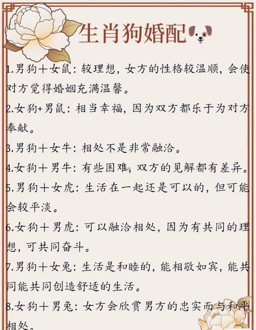 狗属相最配哪个属相,狗属相最配哪个属相最旺