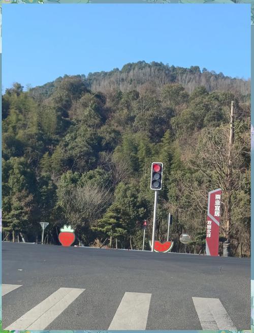 属猴人今年的运势和婚姻,属猴人今年的运势和婚姻如何