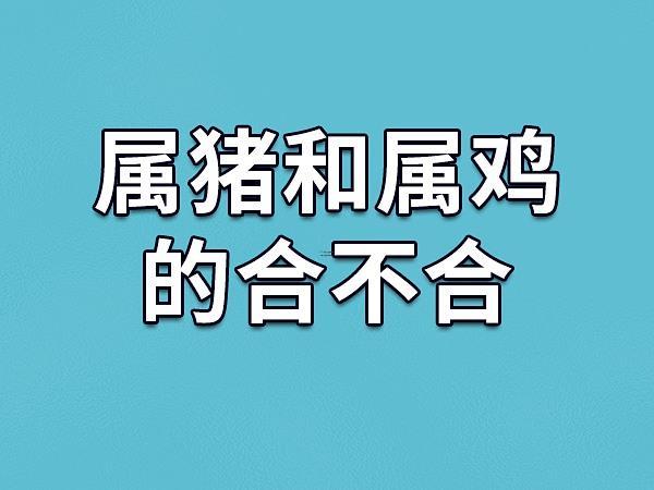 属鸡与属猪的婚姻运势如何,属鸡和属猪千万不能在一起