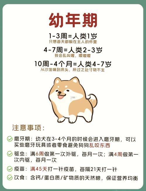 属狗的今年多大岁数请告诉我,属狗的今年多少岁分别多少岁