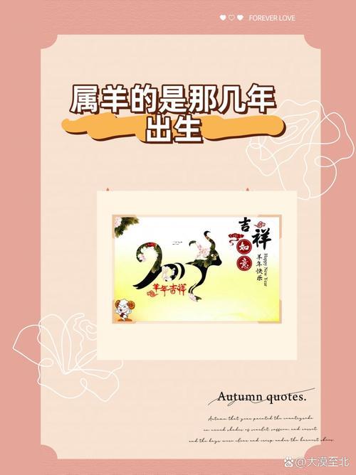 属羊31年出生多少岁,属羊的31年多大