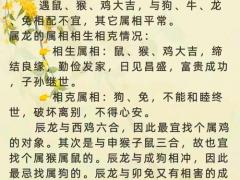 属相羊和属相鼠相配吗,属相羊和属相鼠相配吗好吗
