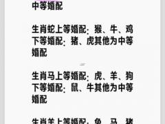 更好的生肖配对是哪一对是,生肖配对最好的两个生肖