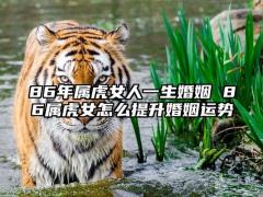 属虎女的婚姻是怎样,86年属虎二次婚姻在几岁