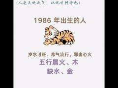 属虎1986年出生什么命,属虎1986年出生什么命运