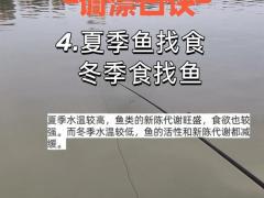 2025年11月垂钓吉日查询 2025年11月钓鱼出行最佳日子