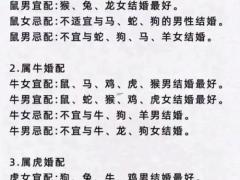 更佳夫妻属相婚配表,更佳夫妻属相婚配表图