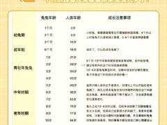 1999属兔今年几周岁,1999属兔今年多大岁数