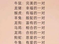 牛年跟兔年相配吗,牛年和兔年相配吗