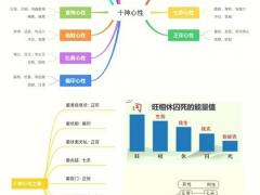 属马哪日出生是上等之命,农历几月的马最好命
