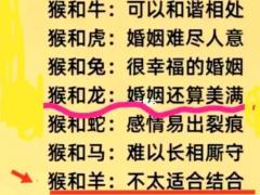 属猴和属羊的相配吗,属猴和属羊的相配吗猴男和羊女做情人可以吗