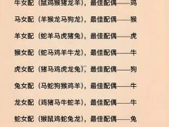 属羊男人更佳婚配属相,属羊男人更佳婚配属相是什么