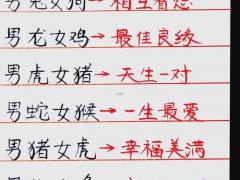 92属猴和95属猪相配吗,92猴男和95猪女姻缘