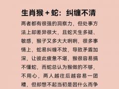 女属猴更佳婚配排名,女属猴最佳婚配排名