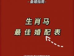 属马婚配什么生肖为好,属马的婚姻配什么生肖好