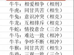 属牛的和什么属相最配最合适,属牛的和什么属相最配最合适婚姻