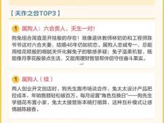 属兔的绝配是什么生肖,属兔的绝配是什么生肖呢