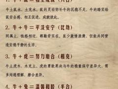 1979属羊更佳配对牛,1979属羊和属牛可以在一起吗