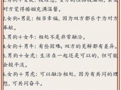 狗属相最配哪个属相,狗属相最配哪个属相最旺