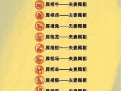 属牛的和属虎的八字好不好,属牛的和属虎的八字好不好婚姻