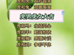 74年的虎女和什么属相配,74年的虎女和什么属相配对