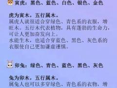 鼠对应的星座是什么,鼠对应的星座是什么座