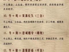 97年属牛女人注定的婚姻,1985属牛女人的婚姻和命运