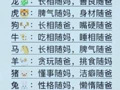 男属猴和女属牛相配吗,男属猴和女属牛相配吗婚姻