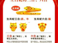 属蛇与蛇属相相配更好,属蛇与蛇属相相配更好吗