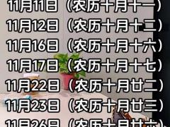 25年阳历11月黄道吉日 11月哪天适合开张搬家