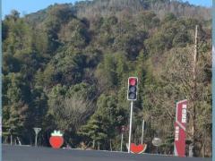 属猴人今年的运势和婚姻,属猴人今年的运势和婚姻如何