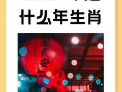 2024是什么年,2024是什么年属什么生肖