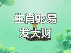 蛇的今日运势与与财运,蛇的今日运势与与财运蛇