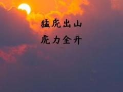 属虎未来十年运势及运程,1986属虎37岁后有十年大运