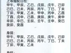 丙辰时柱晚年运,丙辰时柱看子女