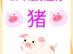 属猪的命运好吗,属猪的人命好不好？